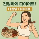 다한방 다이어트 내돈내산 후기 모아 효과 확인?