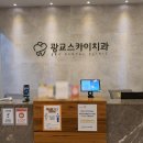 스카이덴탈 이미지