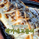 33 | 별내동 내돈내산 생선구이 맛집 수락산 불암산역 근처 박가네 고등어