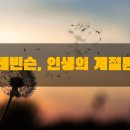 레빈슨, 인생의 계절론