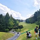 뉴코리아 이미지