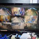 보선농장 이미지