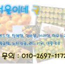서율이네귤