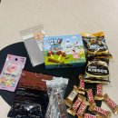 초콜렛 | 밤티맞은 닥스훈트 초콜렛 만들기 후기 총비용 ❤️‍🩹🐶 다이소 준비물 초코펜