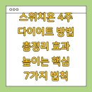 스위치온 4주 다이어트 방법 총정리 효과 높이는 핵심 7가지 법칙