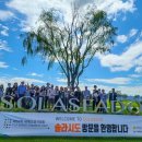 솔라시도 이미지