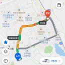 전주 멍스테이호텔 애견동반 가능 숙박후기