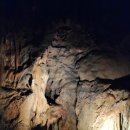 양어장상회 이미지