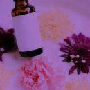 정선악세사리 이미지