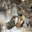 산호동509 이미지