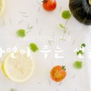 투애니투 이미지