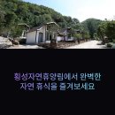 횡성자연휴양림 숙박과 캠핑장 완벽 가이드