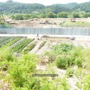 노현1리 이미지