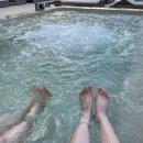 파라다이스 수영장 이미지