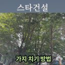 조경수 관리 전문과정[주말반] | 수원 호매실 LG빌리지 아파트 조경수 가지치기 안전 시공 과정