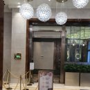 JARDIN HOTEL | [Macao] 마카오1박 2일 2일차(마카오반도, 레몬첼로, 베네시안, 런더너호텔, Le jandin 포토존)