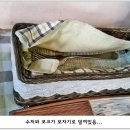 오르또 이미지