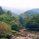 춤새마을 이미지