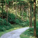 "걷는 순간 힐링 시작!"...가을 감성 폭발하는 10월 숲속 산책 명소 BEST 4 추천 이미지