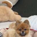 멍스가든 이미지