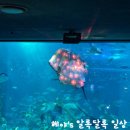 아쿠아플라넷 제주 이미지