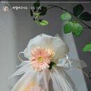 아름과일야채
