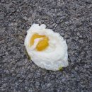 신화모터스 이미지