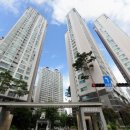 단지내 신창,우방공인중개사사무소 | 송파구 대장아파트 잠실리센츠 2025년 8월 실거래가 분석