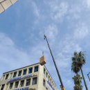 엘라 여성의원 이미지