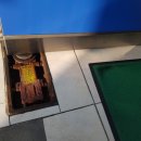 성서효성약국 이미지