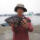 k1한국바다낚시터 이미지