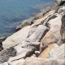 가나수퍼문구 이미지