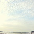 백사장사계절숲속야영장 이미지