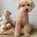 만수2구 이미지