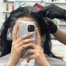 히로 헤어 살롱 - 서초구 | 서초동 교대역미용실 정착헤어 다디실장 내돈내산 염색후기