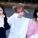 모모 이미지