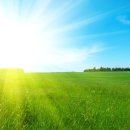 오렌지한의원 이미지