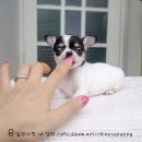 와와