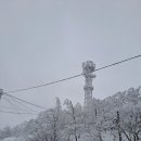 자모목장 이미지