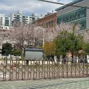 카쩨 이미지