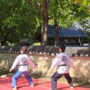 대덕태권도 이미지