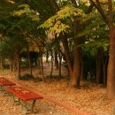 원더풀데이 이미지