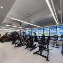 일번피티 이미지