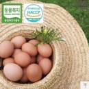 청미래농장 이미지