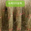 군위슈퍼 이미지