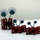 무지개물고기 이미지