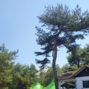 그때 그 펜션 이미지
