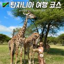 탄자니아 여행 코스 서벌와일드 라이프 사파리 아루샤 숙소 추천