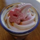 체리목장 | [폴바셋] 체리블라썸 아이스크림 카페라떼, 아이스크림 초콜릿라떼 후기 (내돈내산)