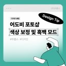 포토샵으로 이미지 색상 보정 및 흑백 이미지 만드는 방법 이미지